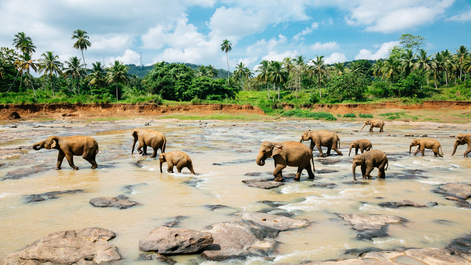 Sri Lanka kompakt mit Familie: Safari, Hochland und Nilaveli