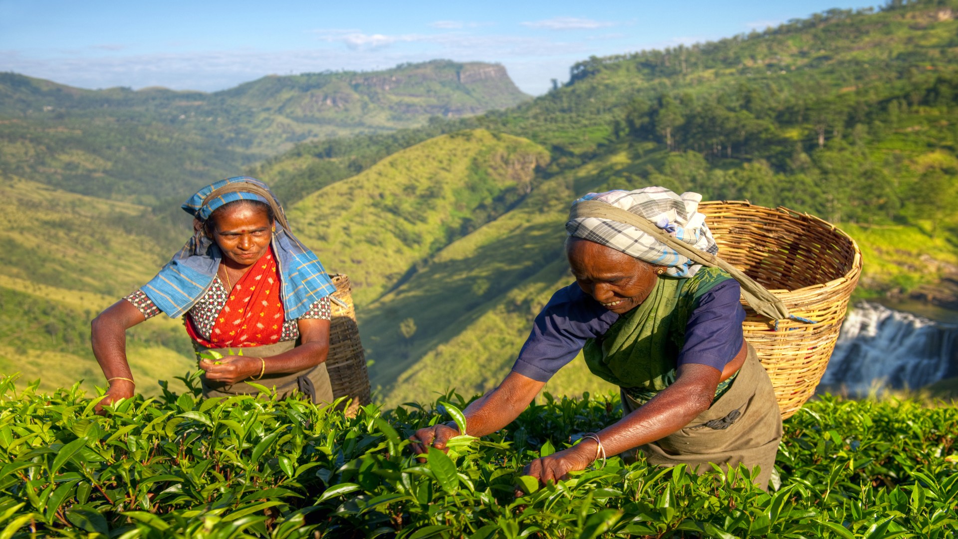 Sri Lanka nachhaltig intensiv: Kulturdreieck, Eco Lodge und Küste