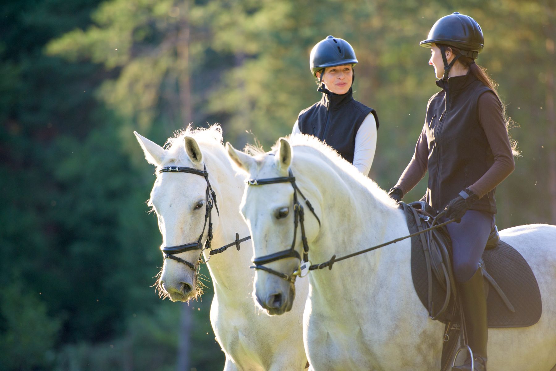 Two female riders wearing helmets and vests riding white horses outdoors in sunny weather.