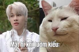 Tuyển tập 999+ Jack meme hài hước, gây bão mạng xã hội