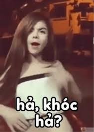 Tổng hợp Linda meme của cô Cẩm Lan Sục gạch ống