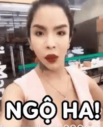 Tổng hợp Linda meme của cô Cẩm Lan Sục gạch ống