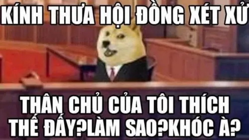 Top 40+ ảnh Meme Luật Sư hài hước kết hợp giữa logic lạnh lùng và cảm xúc  đời thường