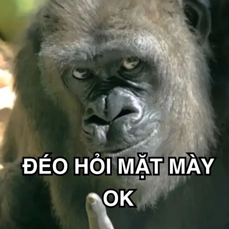 Meme đáp trả ai hỏi sát thương cao