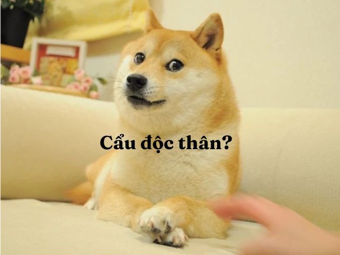 Cơm chó" là gì? Ý nghĩa cụm từ "ăn cơm chó" trên facebook, tiktok là gì?