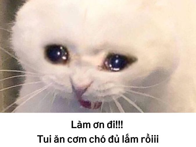 Cơm chó" là gì? Ý nghĩa cụm từ "ăn cơm chó" trên facebook, tiktok là gì?