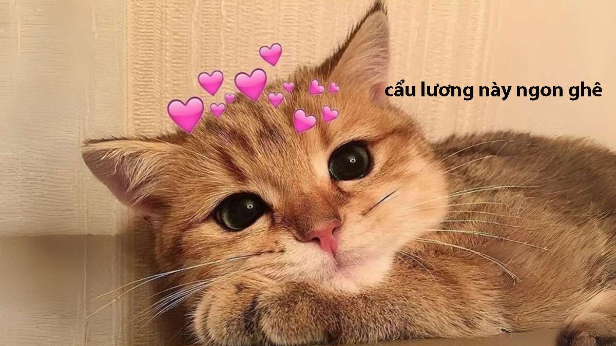 Cơm chó là gì? Cẩu lương là gì? Tại sao lại HOT TREND