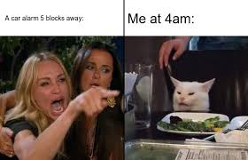 Woman Yelling At Cat Meme Template — Kapwing