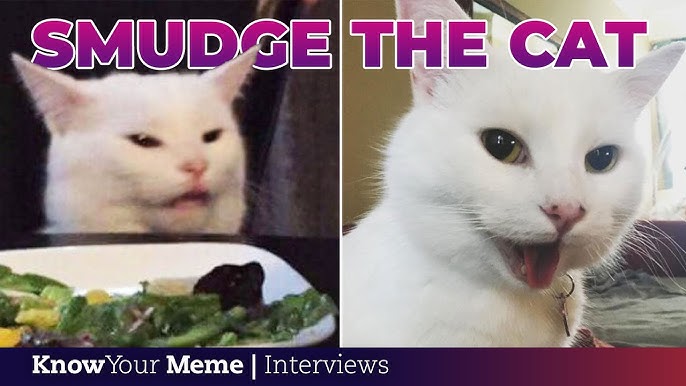 Smudge the Cat's Owner on Viral 'Woman Yelling at a Cat' Success | Meet the  Meme