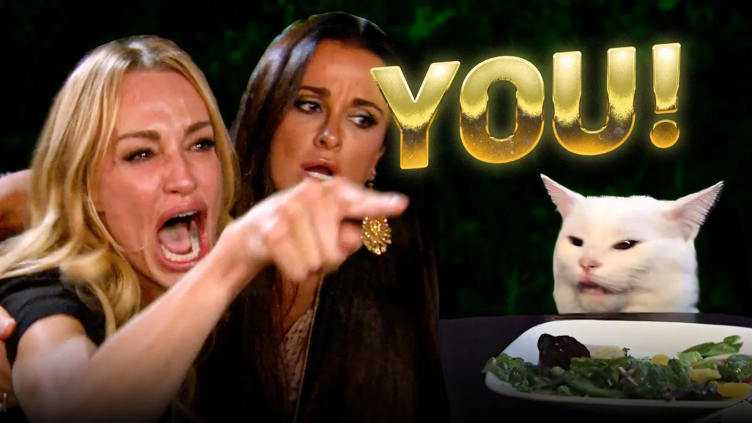The Story Behind the Woman Yelling at Cat Meme