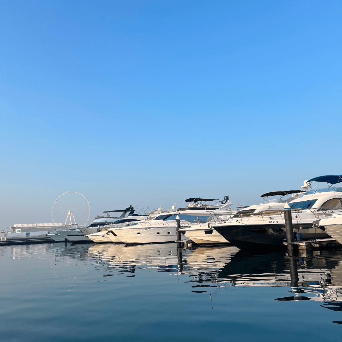 Several white yachts docked at a marina with calm water reflecting the boats and a clear blue sky.