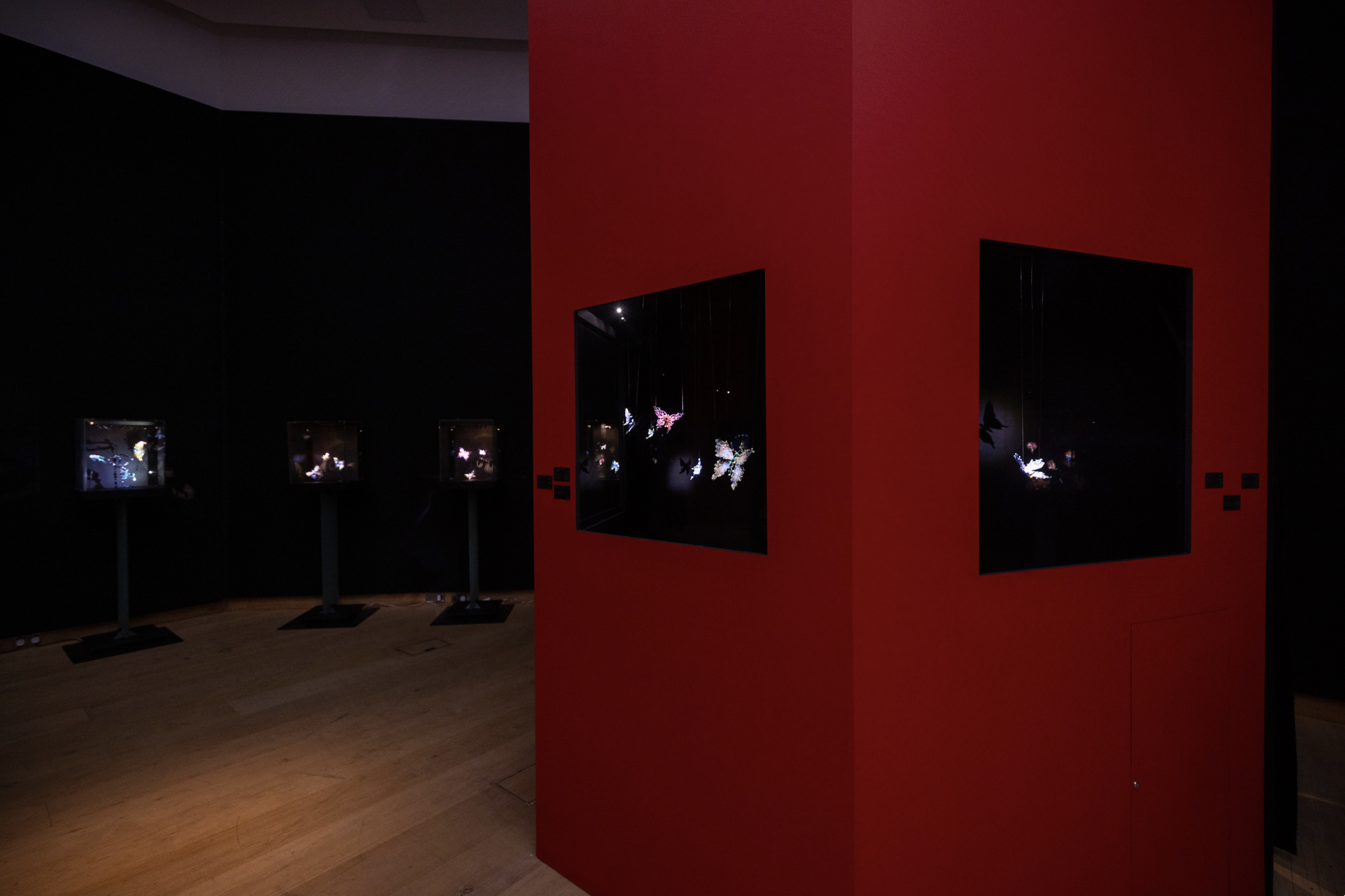 Screenshot 2023-09-29 at 1.04.41 PM.png