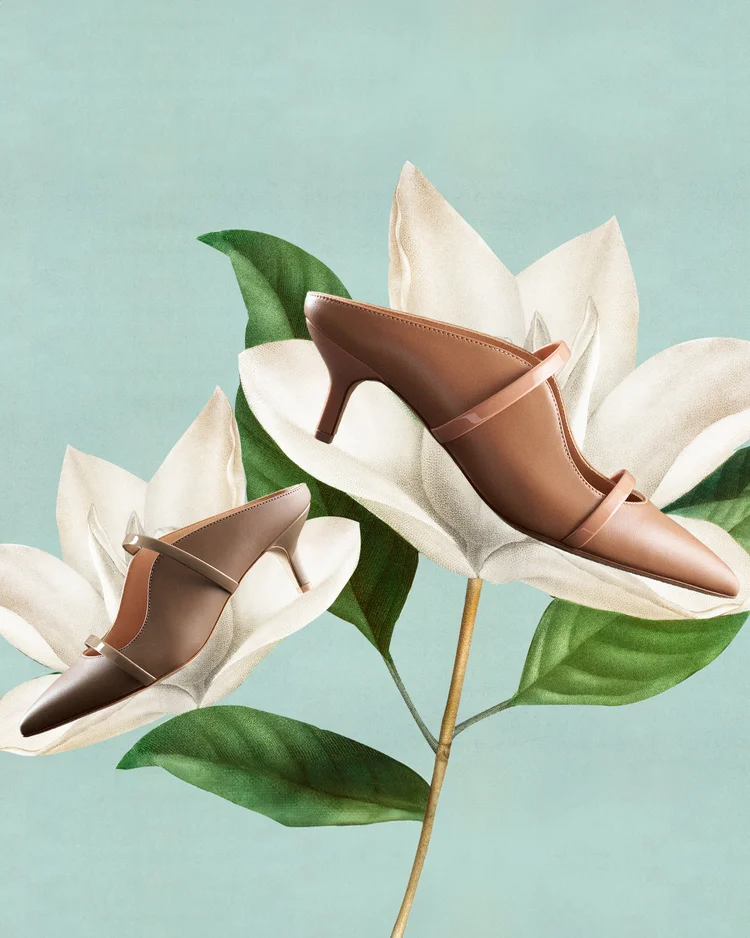 MS_1_1120 extended.jpg