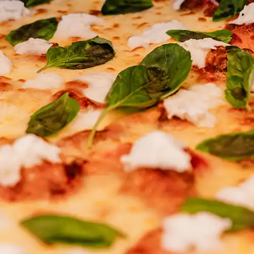 Italian style pizza with fresh cheese, herb, and small colourful tomatoes