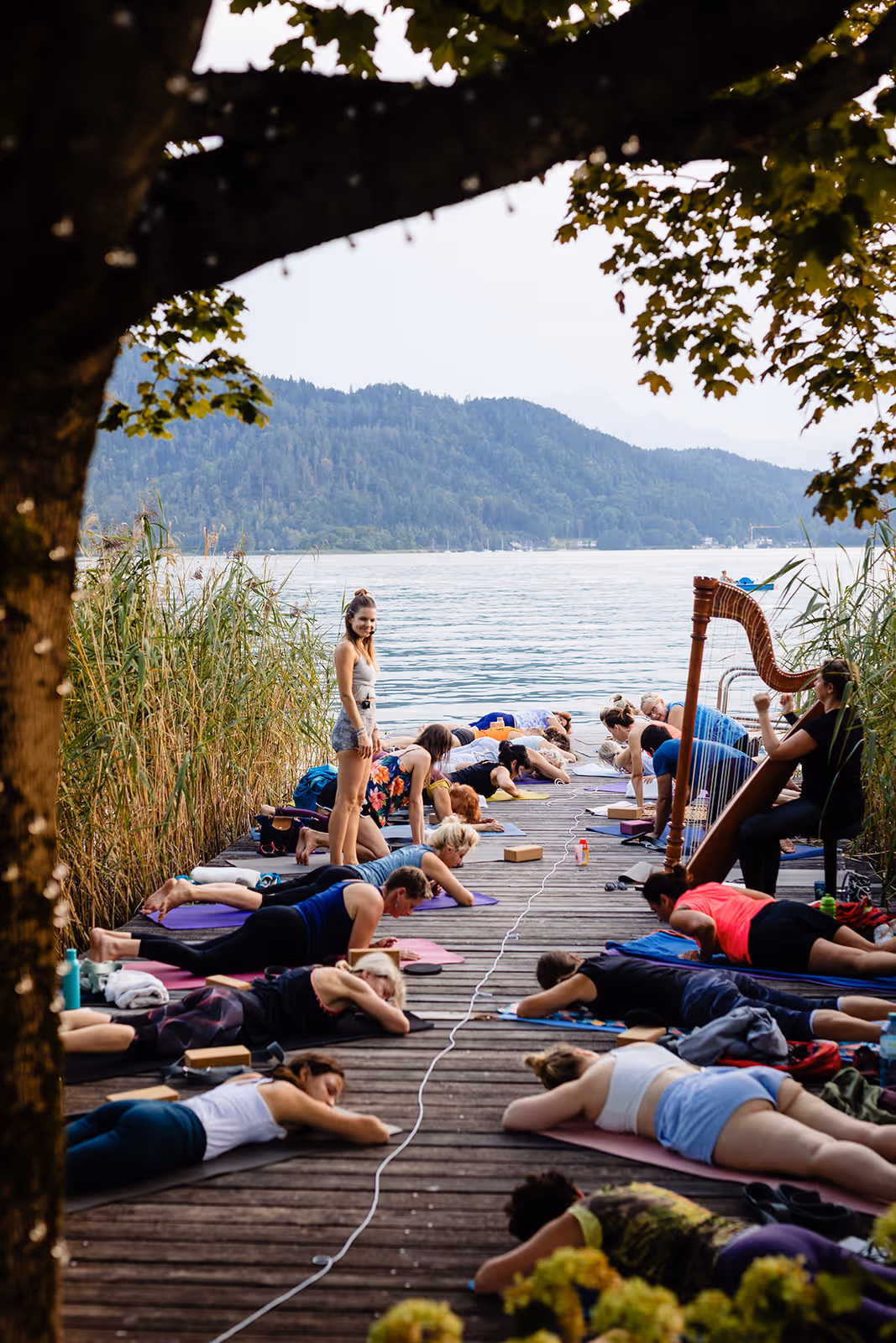 Yoga am Seerosensteg Pörtschach – Yogastunde im Freien