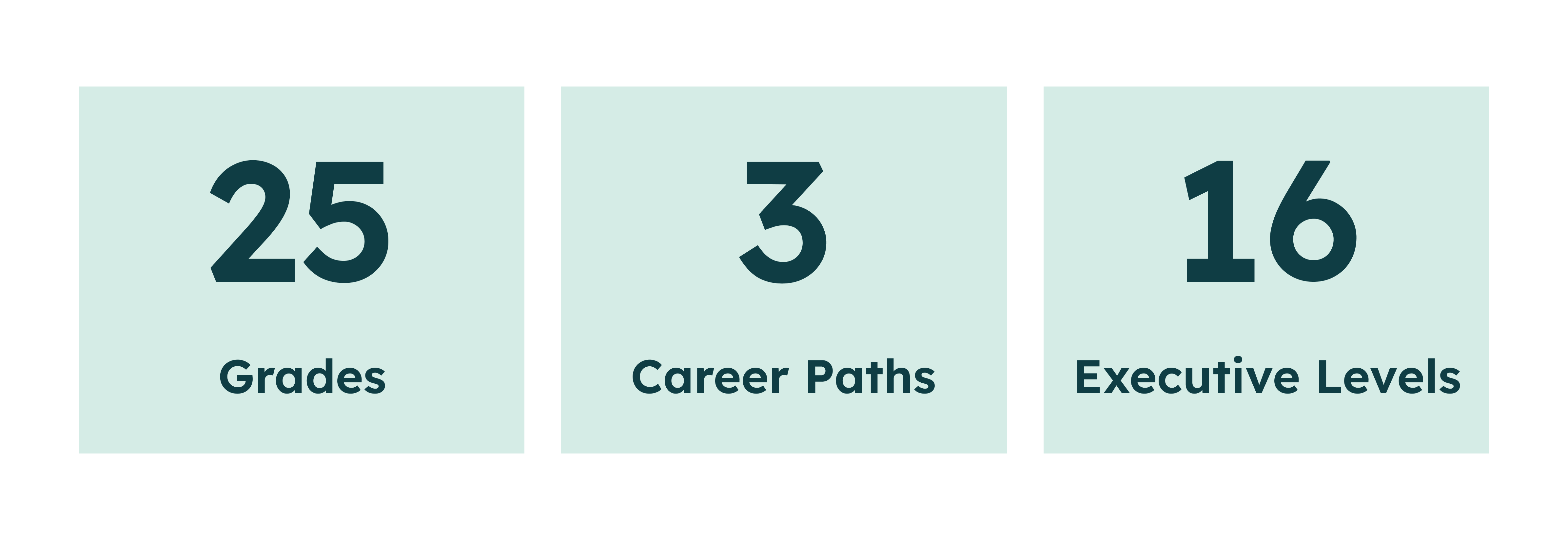 Three blocks showing 25 grades, 3 career paths, and 16 executive levels in dark text on light green background.