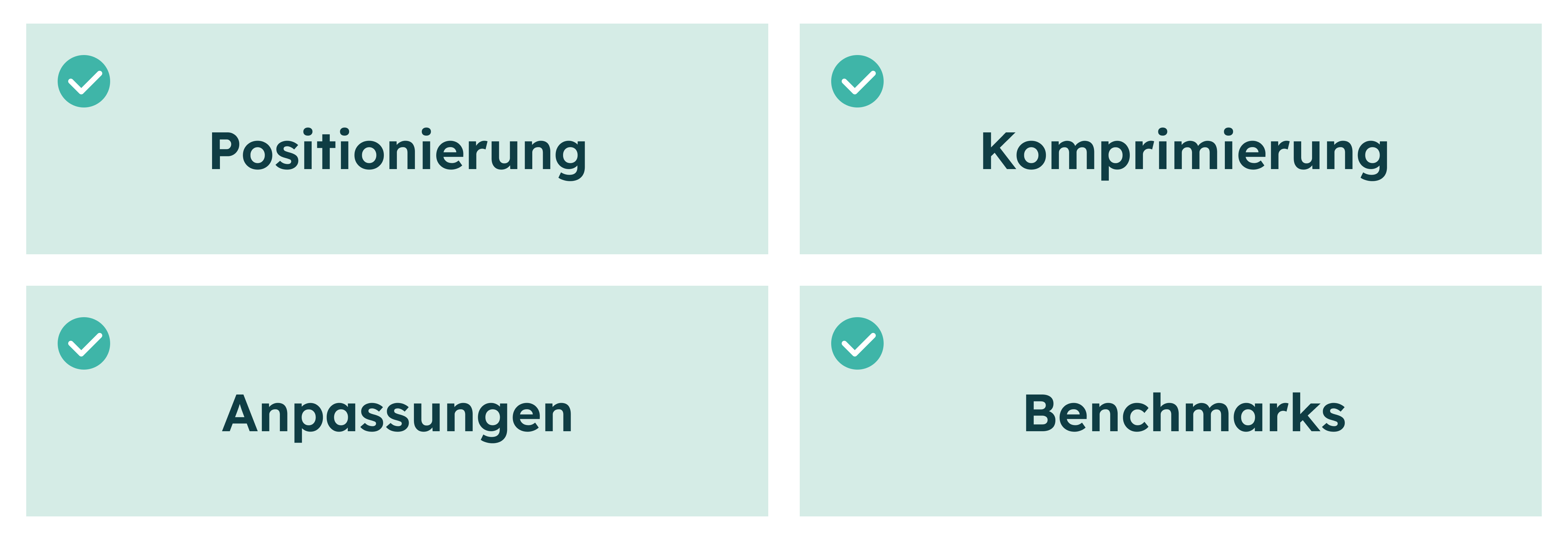 Vier beschriftete Felder mit Häkchen-Symbolen: Positionierung, Komprimierung, Anpassungen und Benchmarks