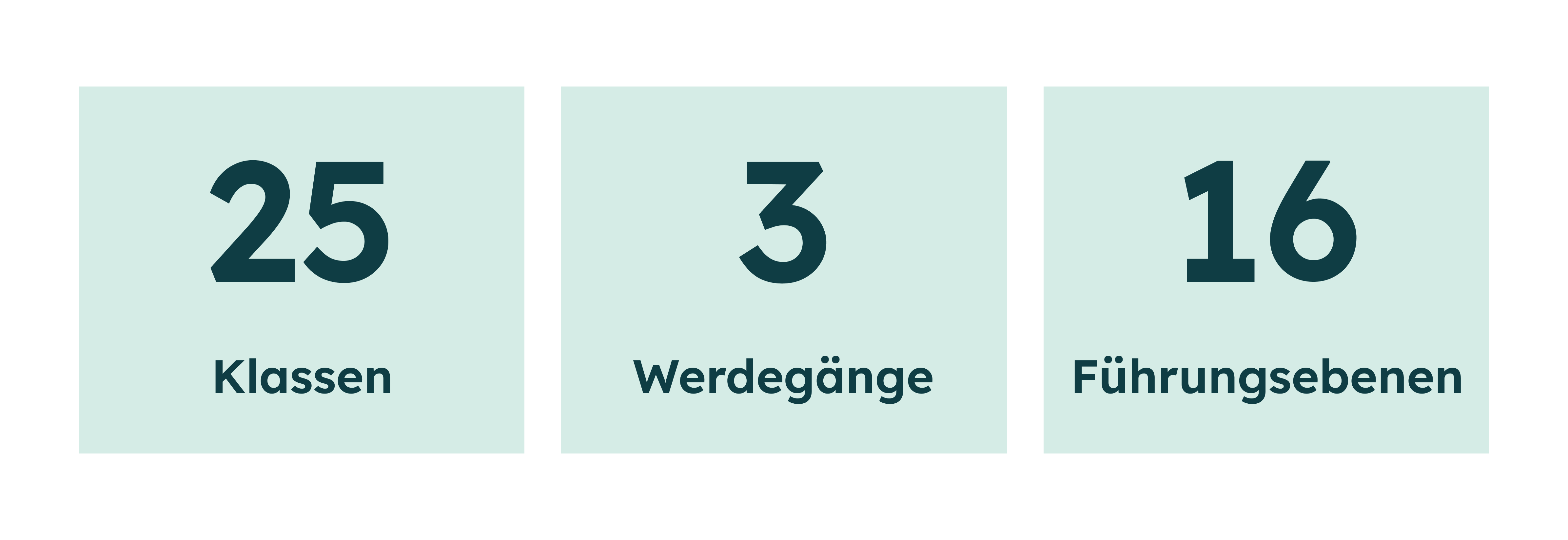 Drei grüne Boxen mit den Zahlen 25, 3, 16 und den Begriffen Klassen, Werdegänge, Führungsebenen