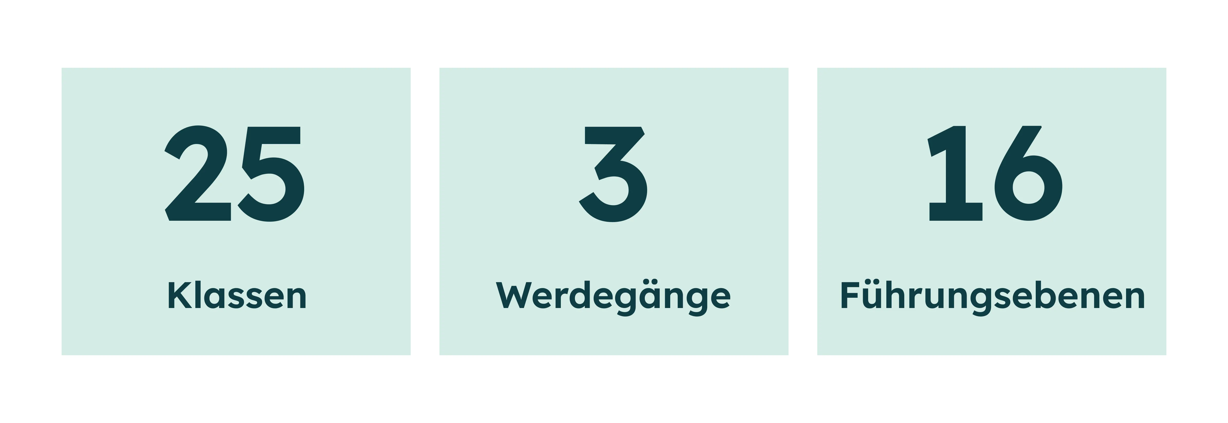Drei grüne Boxen mit den Zahlen 25, 3, 16 und den Begriffen Klassen, Werdegänge, Führungsebenen