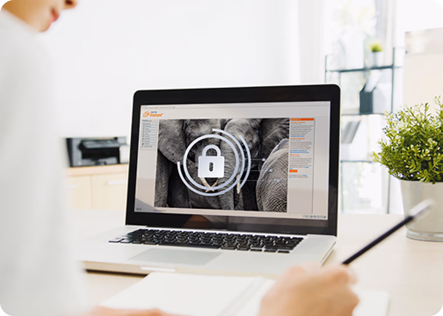 Computerbildschirm zeigt die Dokumentation in der Software Elefant®, während eine Person auf einer Tastatur tippt.