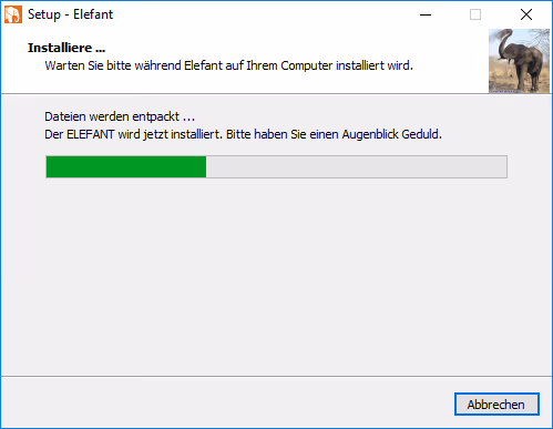 elefant-installation1