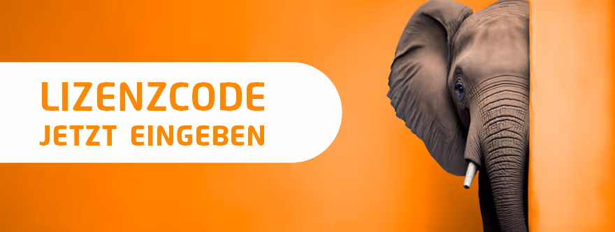 Lizenzcode jetzt eingeben