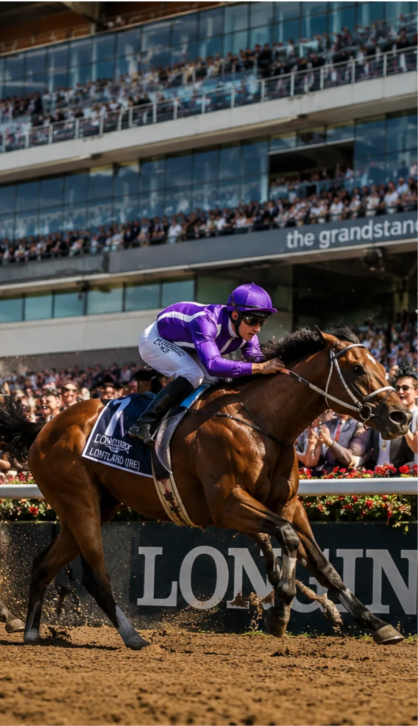 Jockey in purple silks riding brown racehorse at a crowded racetrack during a race.