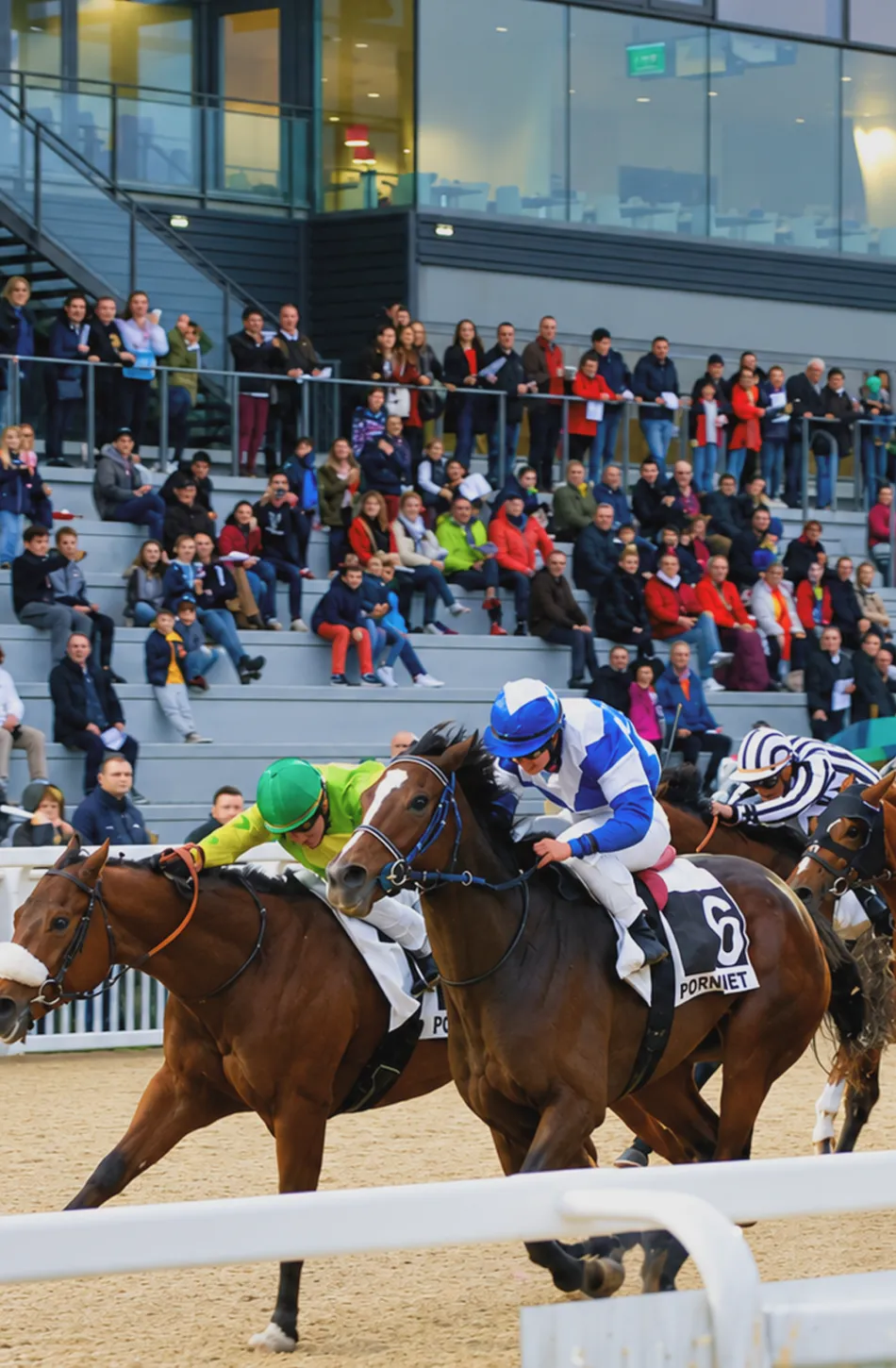 Jockeys in colorful silks racing horses closely on a dirt track with a crowd in stadium seats.