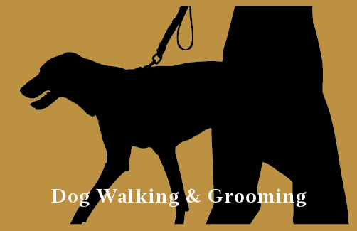 Flyer Zdeno Dog Walking – feinedesign