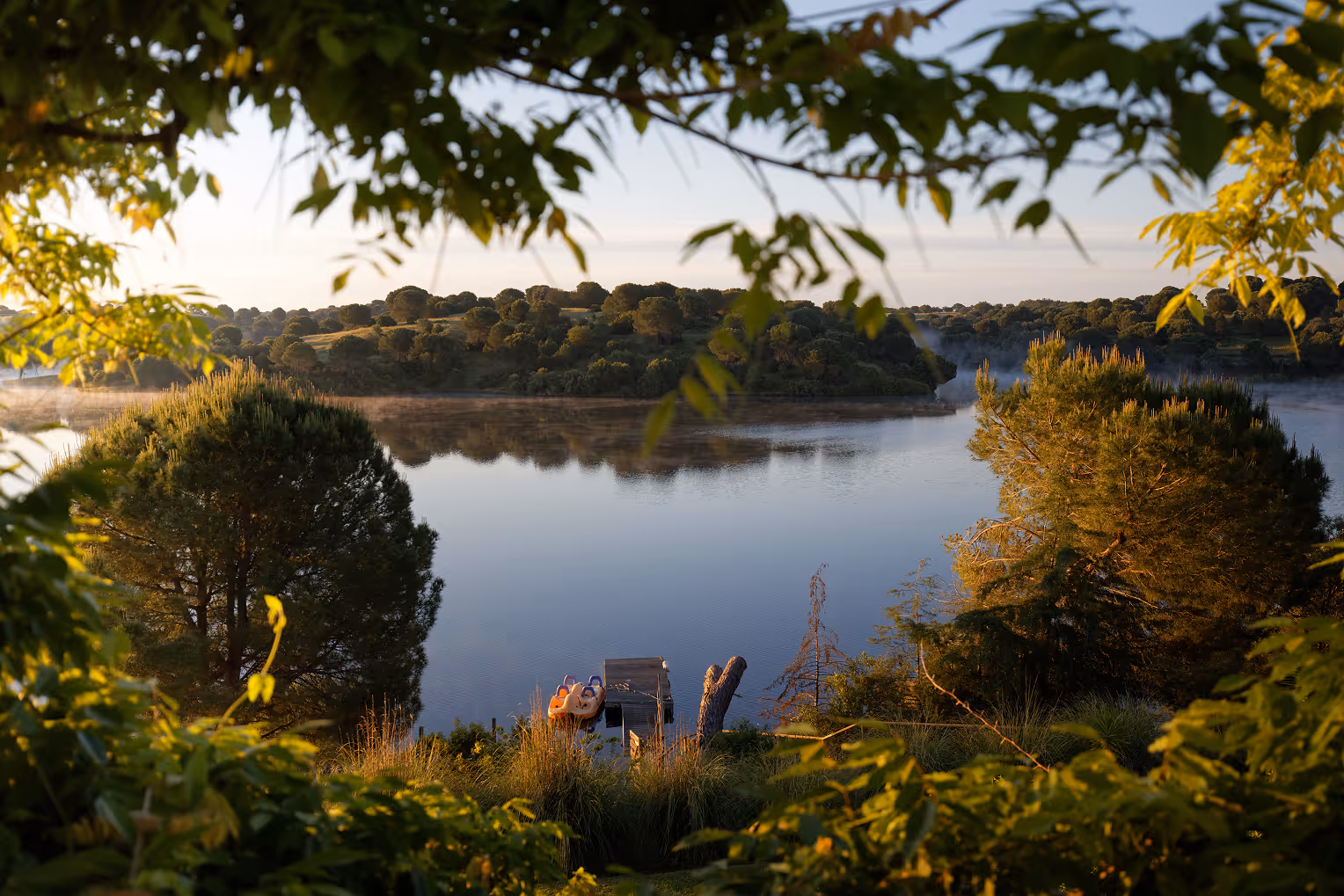 The Vale do Gaio reservoir at golden hour, framed by overhanging leaves