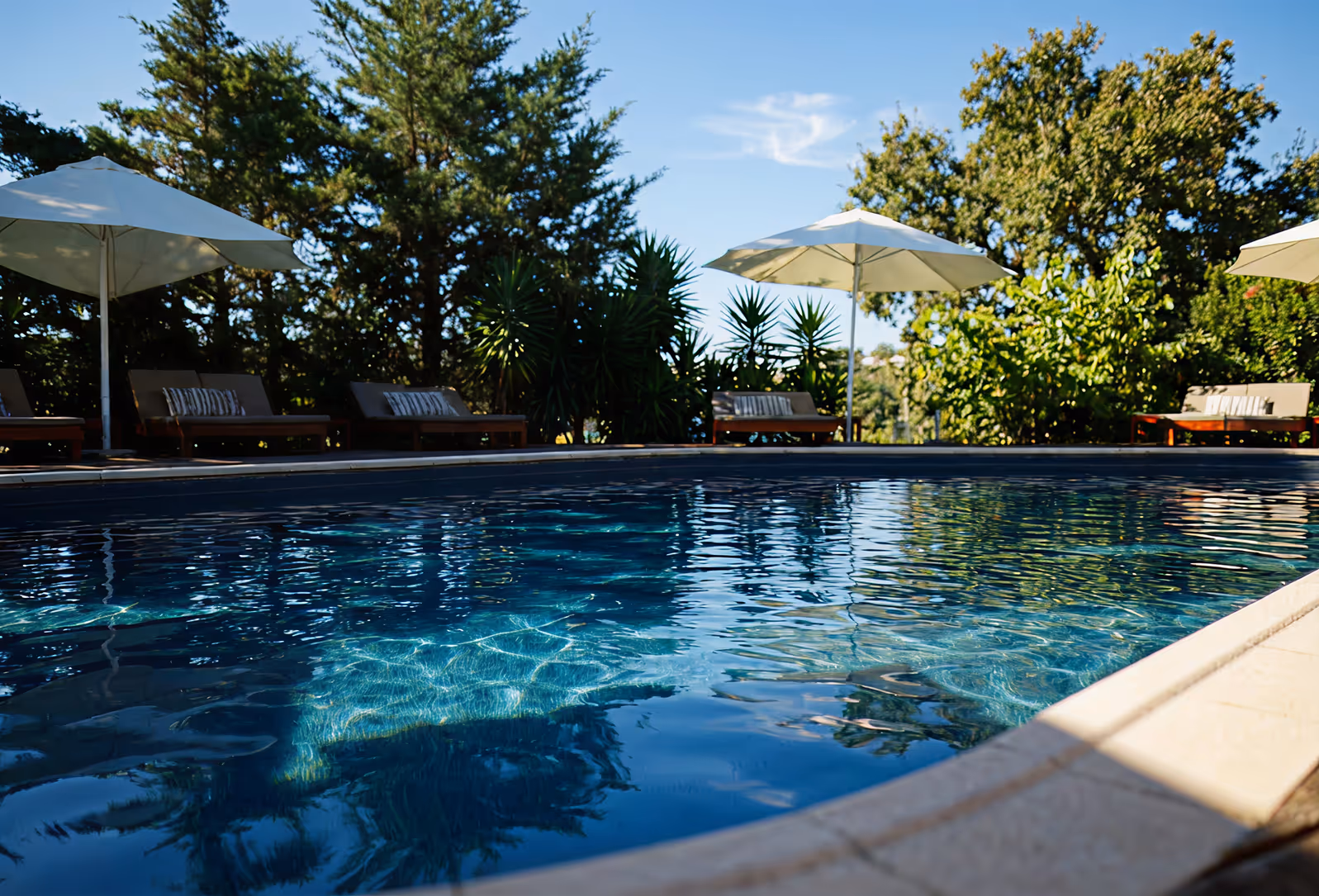 The pool at Hotel Vale do Gaio in morning sun, with parasols and loungers under the pines
