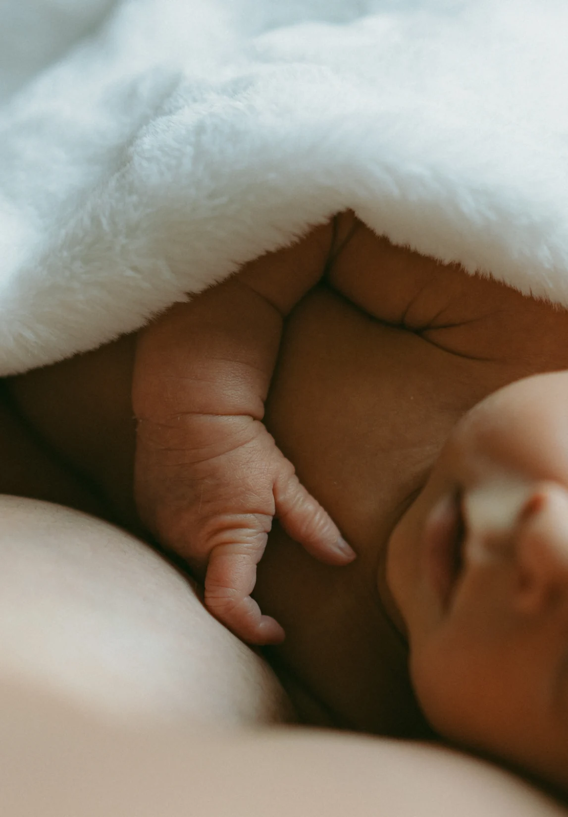 Portfolio maternité nouveau né dans les bras de sa maman