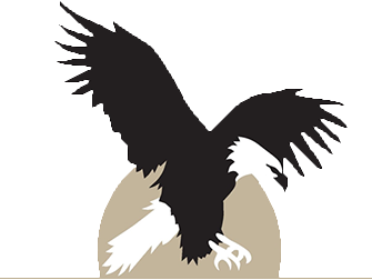 Eagle silhouette over globe school logo