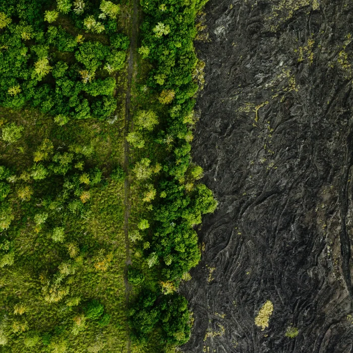 Aerial view showing a clear boundary between lush green forest on the left and dark volcanic lava field on the right.
