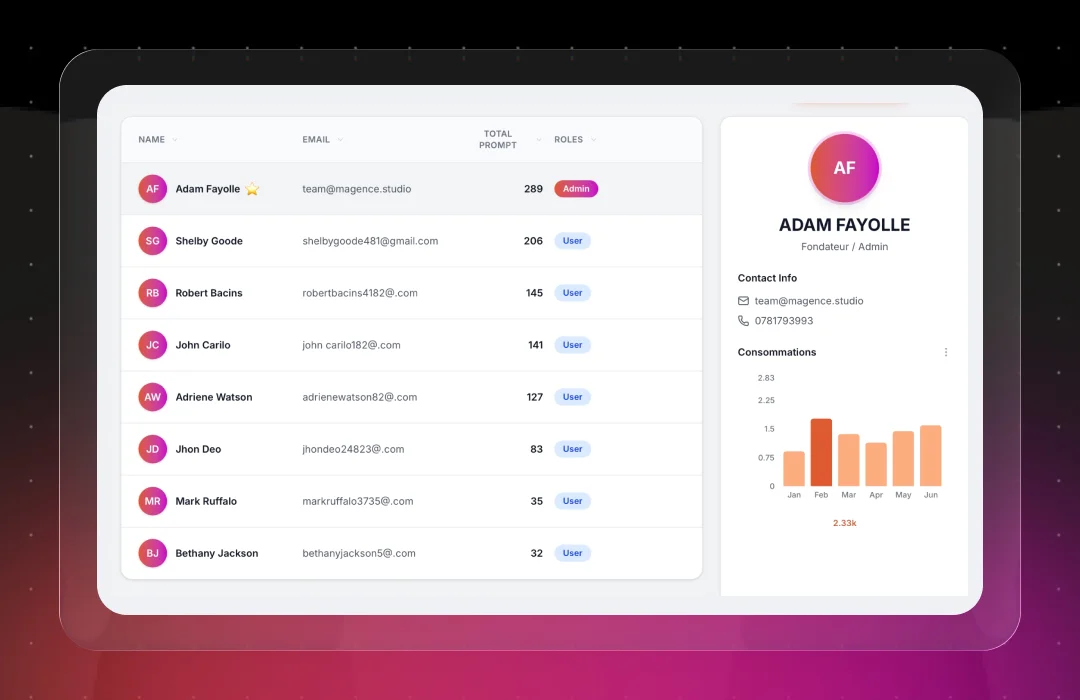 Admin dashboard displaying a list of users with names, emails, total prompts, and roles, alongside detailed contact info and a consumption bar chart for Adam Fayolle.