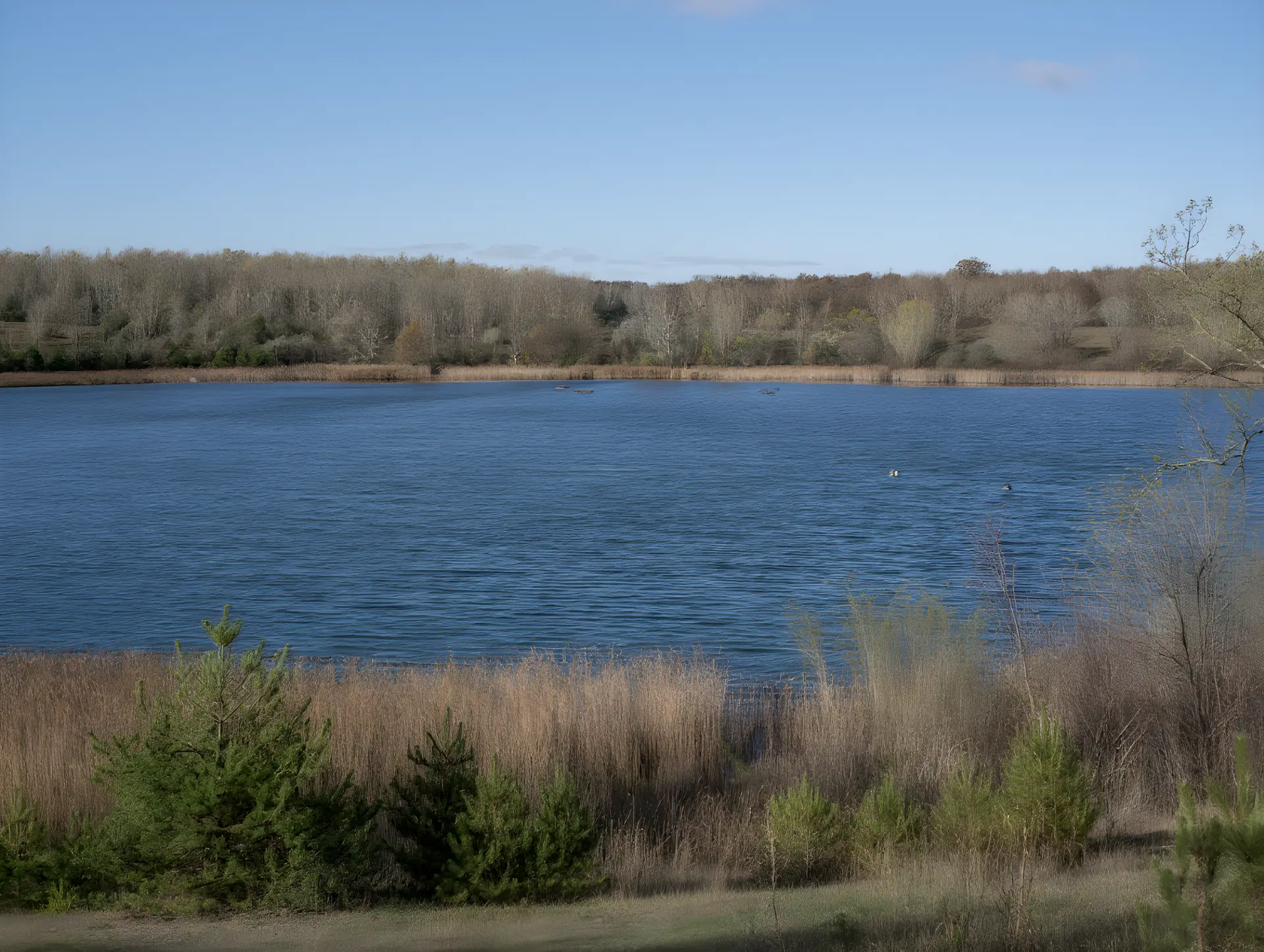 Dobai tó, Oroszlány