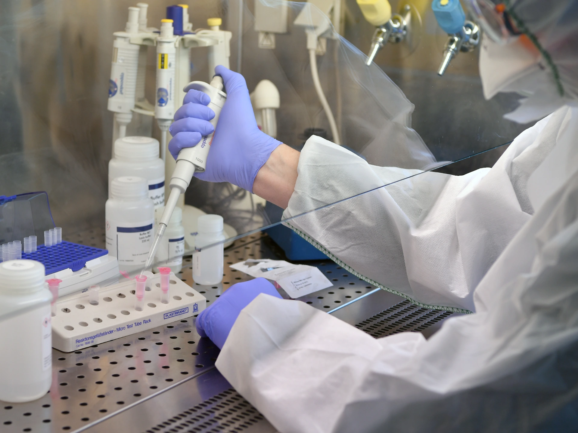 Vírus elemzés laboratóriumban
