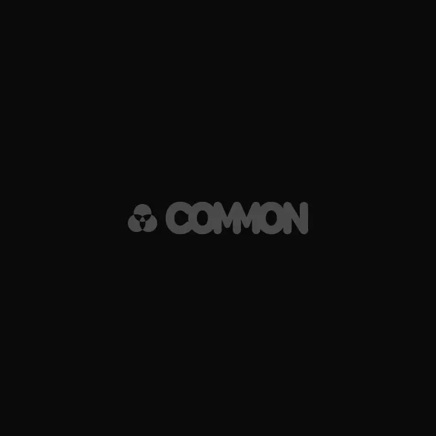 Common.xyz