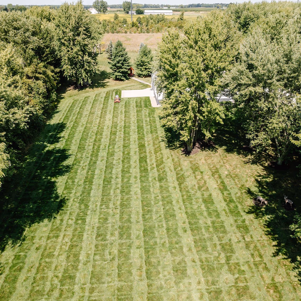 Vision Lawn and Property Management lawn care FAQ section in Berrien County, Michigan