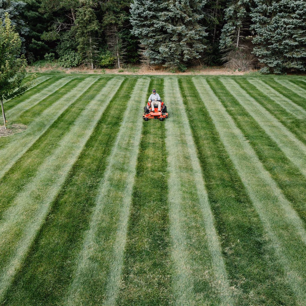 aerial view of freshly mowed striped lawn in Berrien County, Michigan by Vision Lawn and Property Management