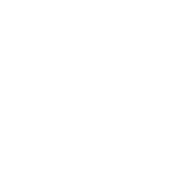 King Schools