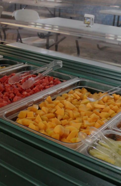 Comedor camp santa ursula