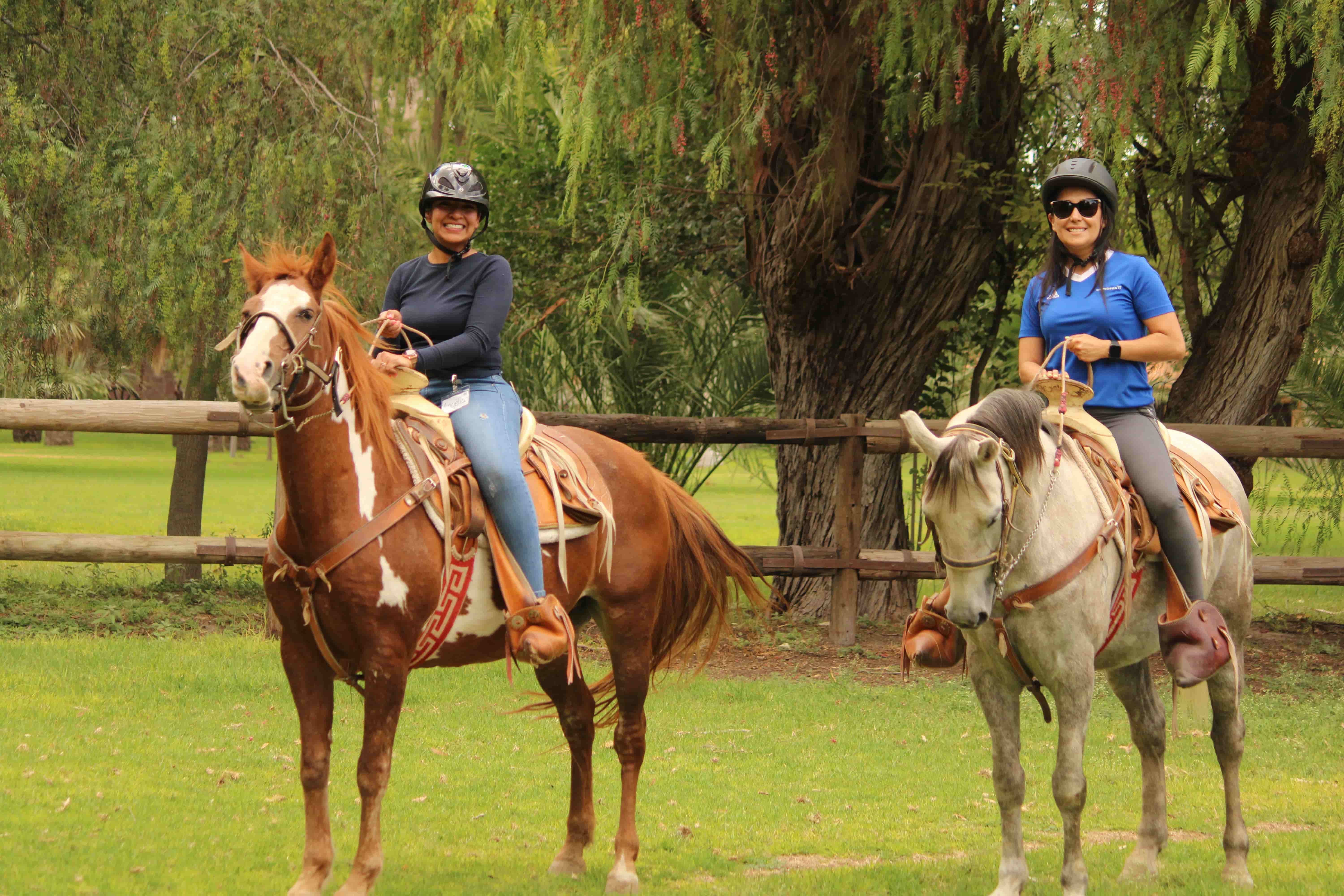 Atracciones únicas en Camp Santa Ursula: diversión garantizada para todos