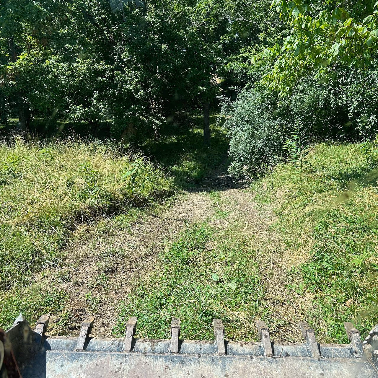 Brush removal and site preparation services near me