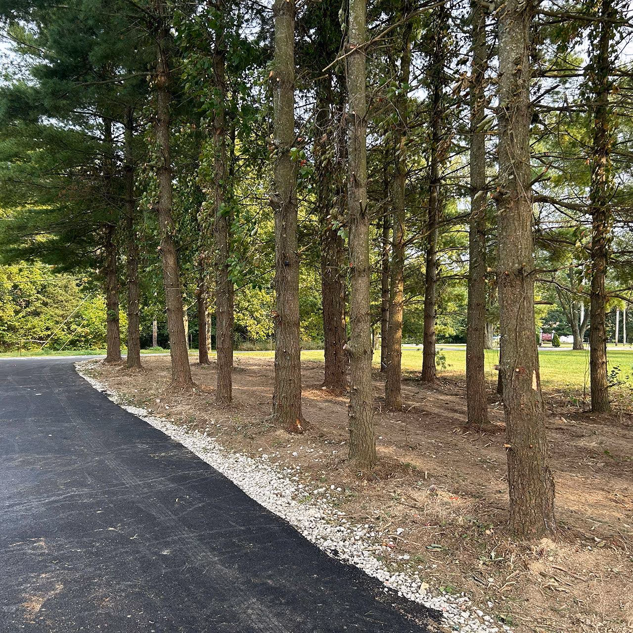Driveway grading services near me