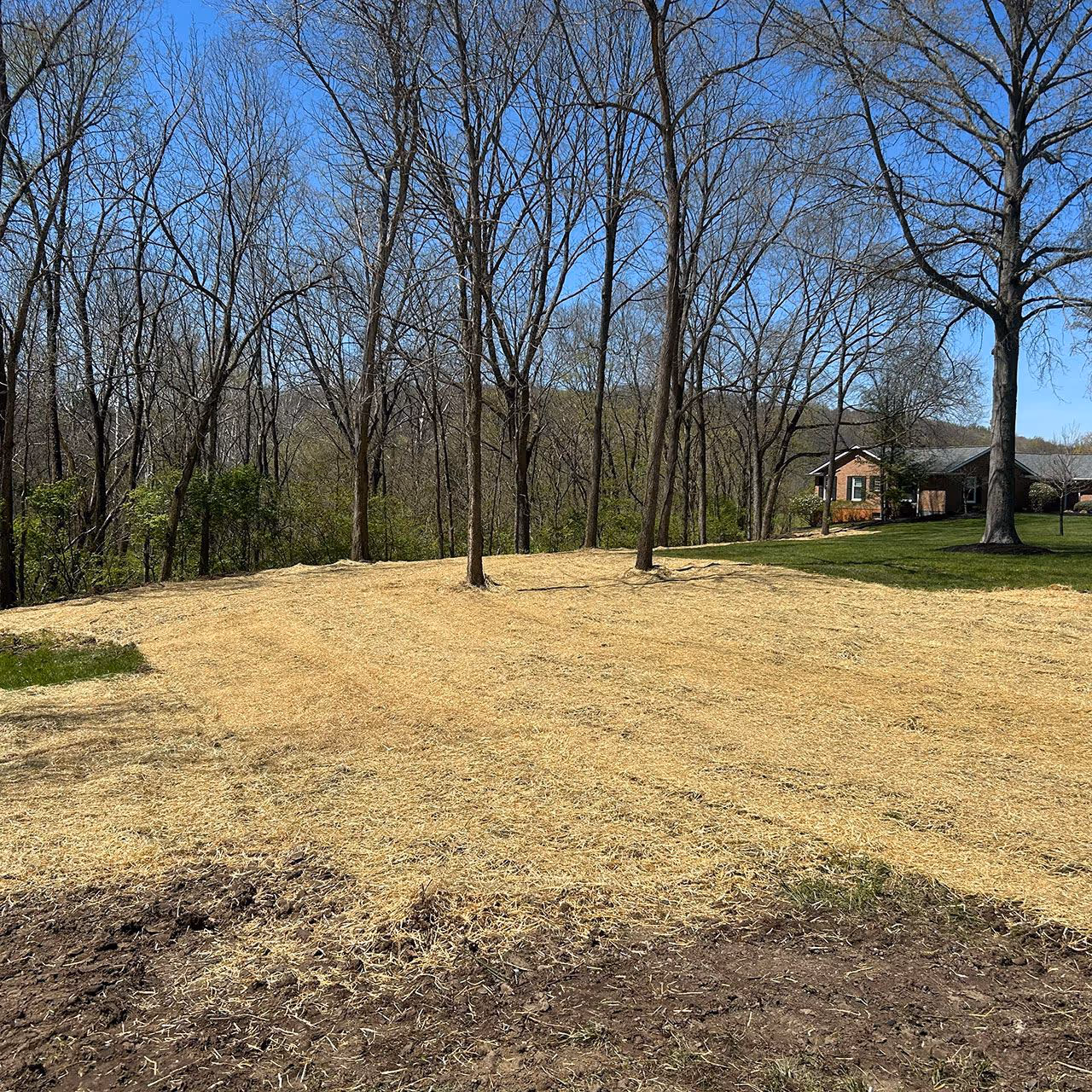 Full lot land clearing contractor near me