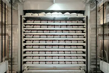 Cartón congelador industrial con múltiples bandejas llenas de productos embalados en bolsas blancas.