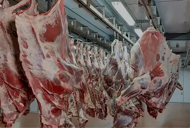 Canales de carne colgando en un frigorífico industrial para preservación y procesamiento.