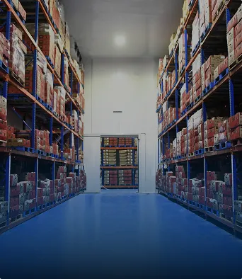 Pasillo de almacén con estanterías altas llenas de cajas y suelo azul limpio.