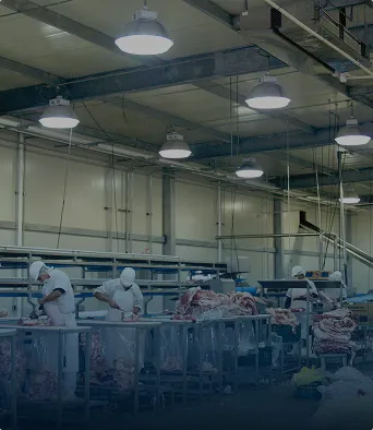 Trabajadores con uniformes y cascos procesando carne en una planta industrial limpia y luminosa.